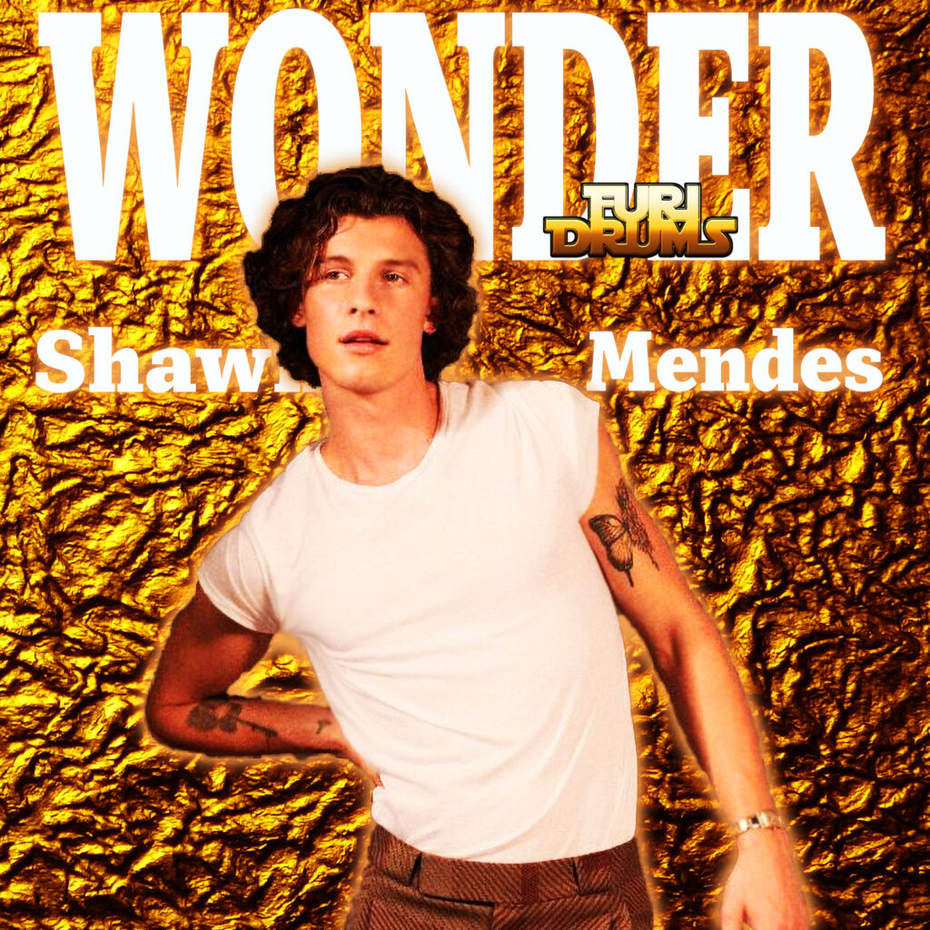 Shawn Mendes - Wonder - DJ FUri DRUMS eXtended House Club Remix