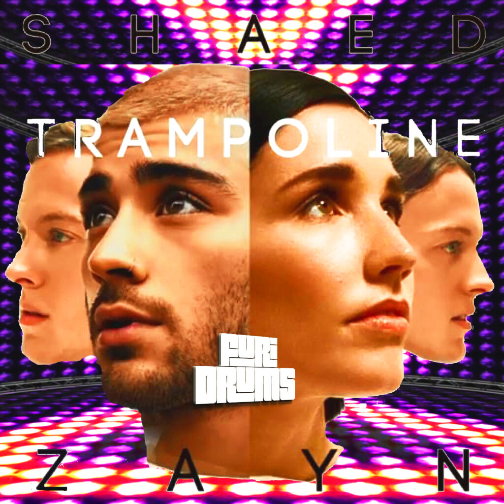 Shaed, Zayn 》 Trampoline 《 DJ FUri DRUMS Happy House EXTENDED Club Remix